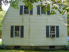 Click here for a larger view of this mold/mildew removal image
