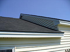Click here for a larger view of this mold/mildew removal image
