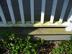 Click here for a larger view of this mold/mildew removal image