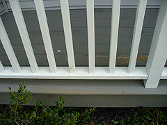 Click here for a larger view of this mold/mildew removal image
