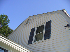 Click here for a larger view of this mold/mildew removal image