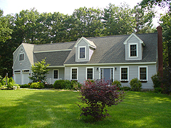 Click here for a larger view of this mold/mildew removal image