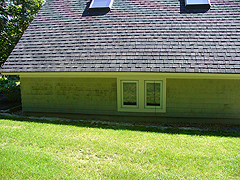 Click here for a larger view of this mold/mildew removal image
