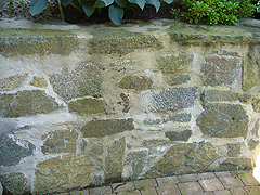 Click here for a larger view of this mold/mildew removal image