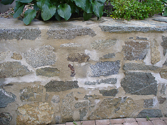 Click here for a larger view of this mold/mildew removal image