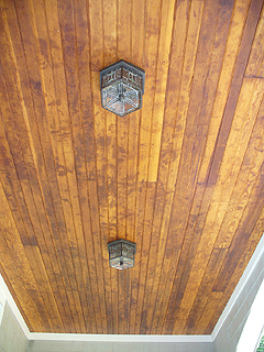 Click here for a larger view of this mold/mildew removal image