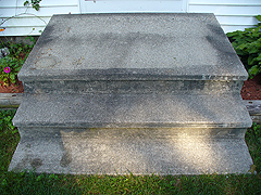 Click here for a larger view of this mold/mildew removal image