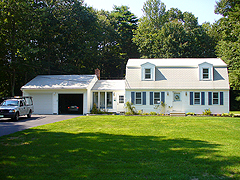 Click here for a larger view of this mold/mildew removal image
