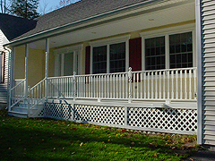 Click here for a larger view of this mold/mildew removal image