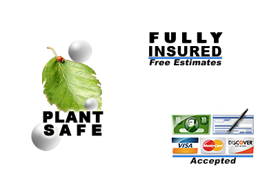 Plant safe pressure washing - Fully Insured - Free Estimates - Cash, Checks, VISA, Mastercard and Discover Accepted