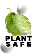 Plant-safe house washing!