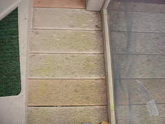 Click here for a larger view of this mold/mildew removal image