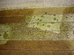 Click here for a larger view of this mold/mildew removal image