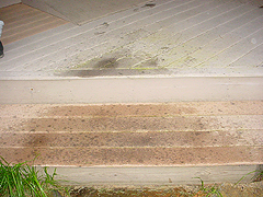 Click here for a larger view of this mold/mildew removal image