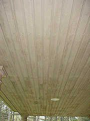 Click here for a larger view of this mold/mildew removal image
