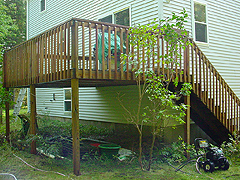 Click here for a larger view of this mold/mildew removal image