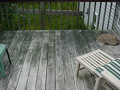 Click here for a larger view of this mold/mildew removal image