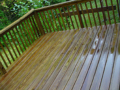 Click here for a larger view of this mold/mildew removal image