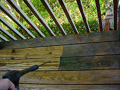 Click here for a larger view of this mold/mildew removal image