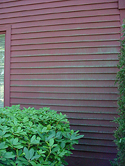 Click here for a larger view of this mold/mildew removal image