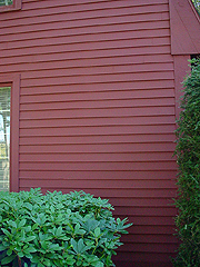 Click here for a larger view of this mold/mildew removal image