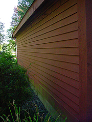 Click here for a larger view of this mold/mildew removal image