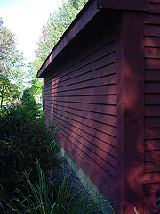 Click here for a larger view of this mold/mildew removal image