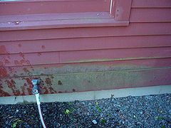 Click here for a larger view of this mold/mildew removal image