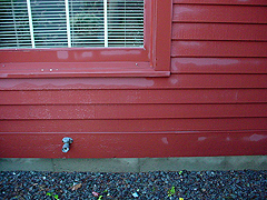 Click here for a larger view of this mold/mildew removal image