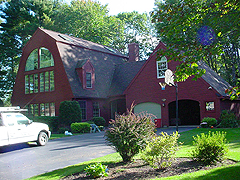 Click here for a larger view of this mold/mildew removal image