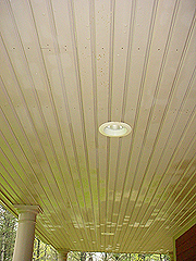 Click here for a larger view of this mold/mildew removal image