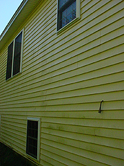 Click here for a larger view of this mold/mildew removal image
