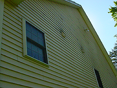 Click here for a larger view of this mold/mildew removal image