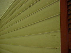 Click here for a larger view of this mold/mildew removal image