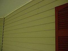Click here for a larger view of this mold/mildew removal image