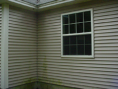 Click here for a larger view of this mold/mildew removal image