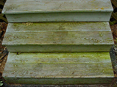 Click here for a larger view of this mold/mildew removal image