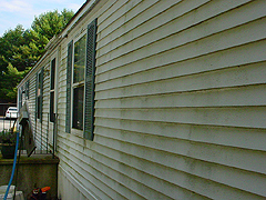 Click here for a larger view of this mold/mildew removal image