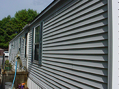 Click here for a larger view of this mold/mildew removal image