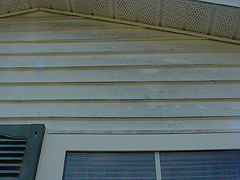 Click here for a larger view of this mold/mildew removal image