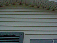 Click here for a larger view of this mold/mildew removal image