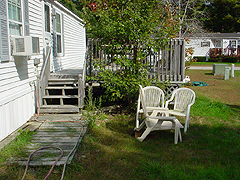 Click here for a larger view of this mold/mildew removal image