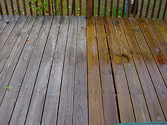 Click here for a larger view of this mold/mildew removal image