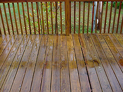 Click here for a larger view of this mold/mildew removal image