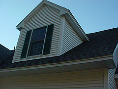 Click here for a larger view of this mold/mildew removal image