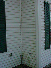 Click here for a larger view of this mold/mildew removal image