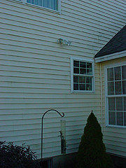 Click here for a larger view of this mold/mildew removal image