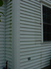 Click here for a larger view of this mold/mildew removal image