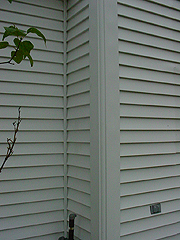 Click here for a larger view of this mold/mildew removal image