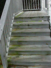 Click here for a larger view of this mold/mildew removal image